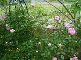 201106038