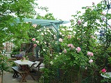 2011060310