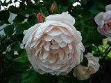 2011060313