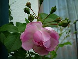 2011060314