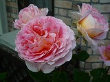 2011060317
