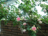 2011060319