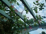 2011060320
