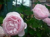 2011060321