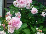 2011060322