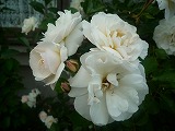 2011060326
