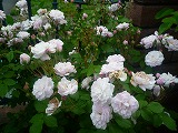 2011060327