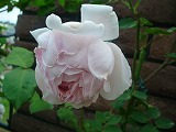 2011060328