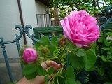 2011060330
