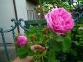 2011060330