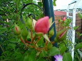 2011060330