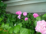 2011060331