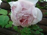 2011060332
