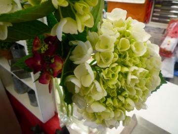 2011060341