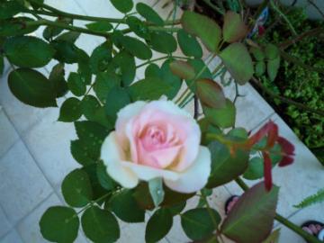 201107174