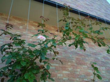 201107177
