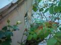 201107179