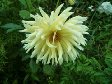 201109138