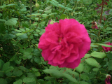 2011091324