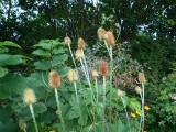 2011091332