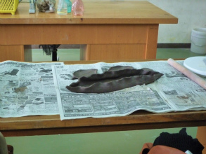 201110247