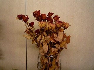 201111213