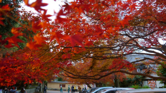 201112111