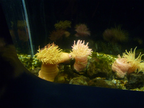 2012133