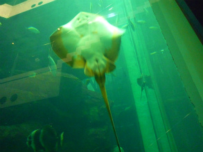 2012168