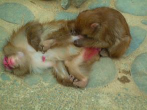 201222413
