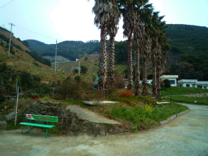 201222521
