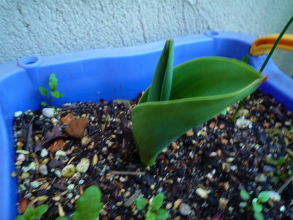 201203311