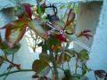 201203314