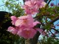 201204056