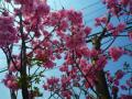 201204057