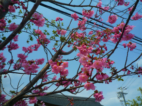 201204058