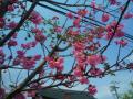 201204058