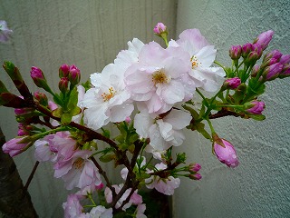 201204211