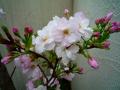 201204211
