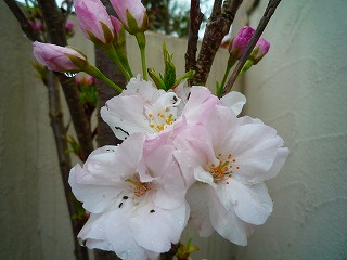 201204212
