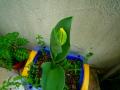 201204214