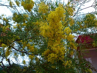 201204216
