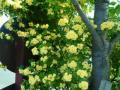 201204292