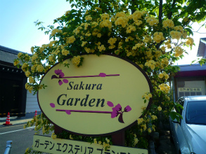 201204293
