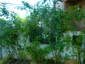 201204298
