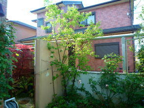 2012042910
