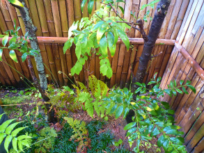 2012042911
