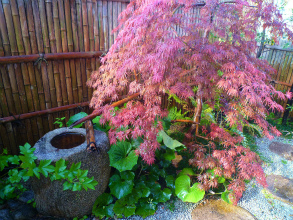 2012042912
