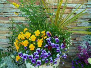 2012042915