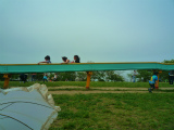 2012518